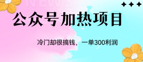 （6916期）冷门公众号加热项目，一单利润300+-副业城