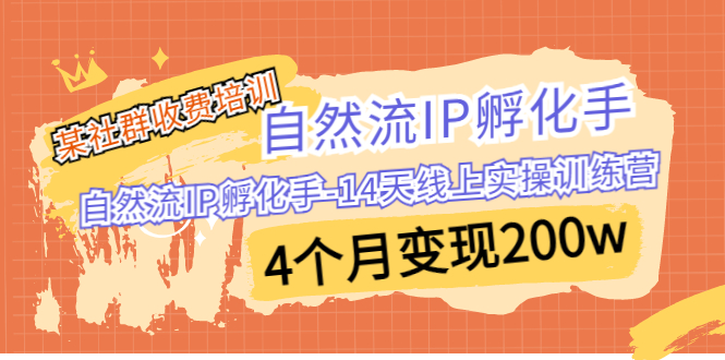 （6924期）某社群收费培训：自然流IP 孵化手-14天线上实操训练营 4个月变现200w-副业城