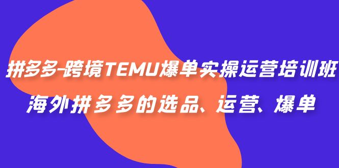 （6934期）拼多多-跨境TEMU爆单实操运营培训班，海外拼多多的选品、运营、爆单-副业城