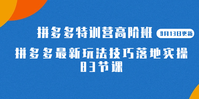 （7295期）2023拼多多·特训营高阶班【9月13日更新】拼多多最新玩法技巧落地实操-83节-副业城