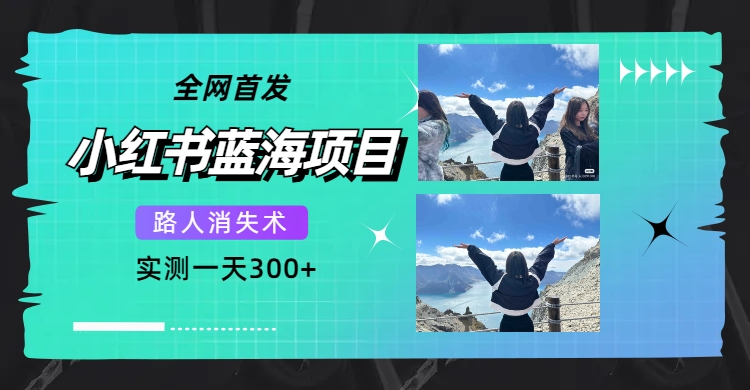 （7537期）全网首发，小红书蓝海项目，路人消失术，实测一天300+（教程+工具）-副业城