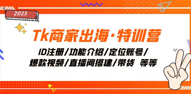 （7974期）Tk商家出海·特训营：ID注册/功能介绍/定位账号/爆款视频/直播间搭建/带货.-副业城