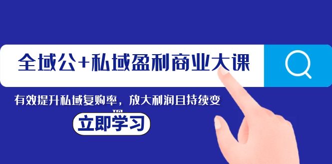 （8045期）全域公+私域盈利商业大课，有效提升私域复购率，放大利润且持续变现-副业城