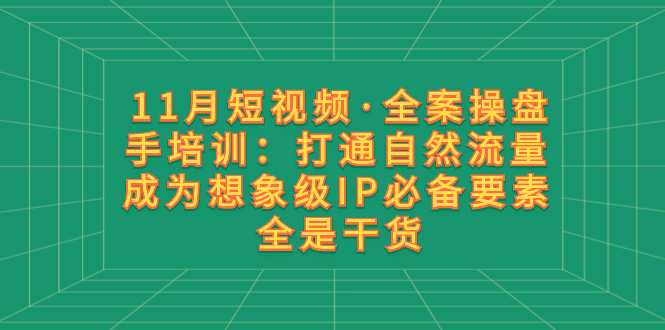 （8182期）11月短视频·全案操盘手培训：打通自然流量 成为想象级IP必备要素 全是干货-副业城