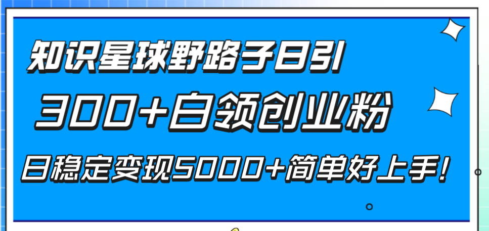 （8315期）知识星球野路子日引300+白领创业粉，日稳定变现5000+简单好上手！-副业城