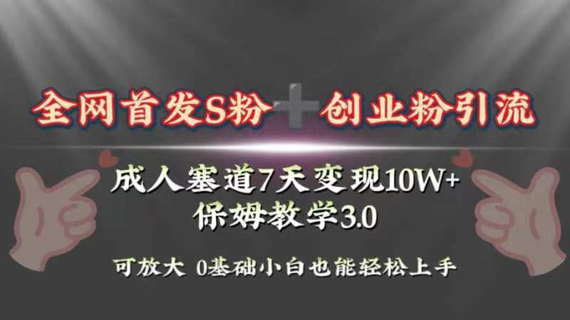 （8337期）全网首发s粉加创业粉引流变现，成人用品赛道7天变现10w+保姆教学3.0-副业城