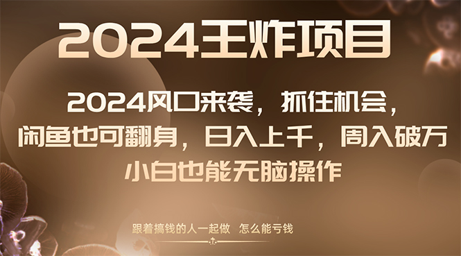 （8401期）2024风口项目来袭，抓住机会，闲鱼也可翻身，日入上千，周入破万，小白…-副业城