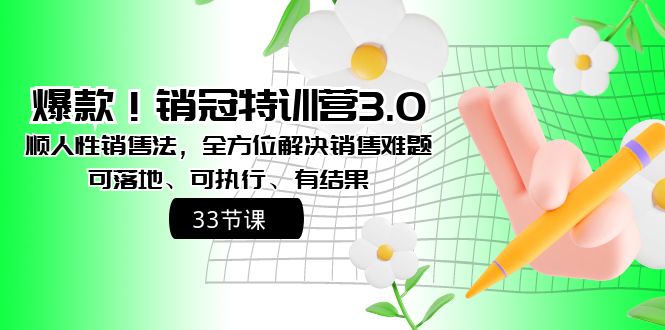 （8573期）爆款！销冠特训营3.0之顺人性销售法，全方位解决销售难题、可落地、可执…-副业城