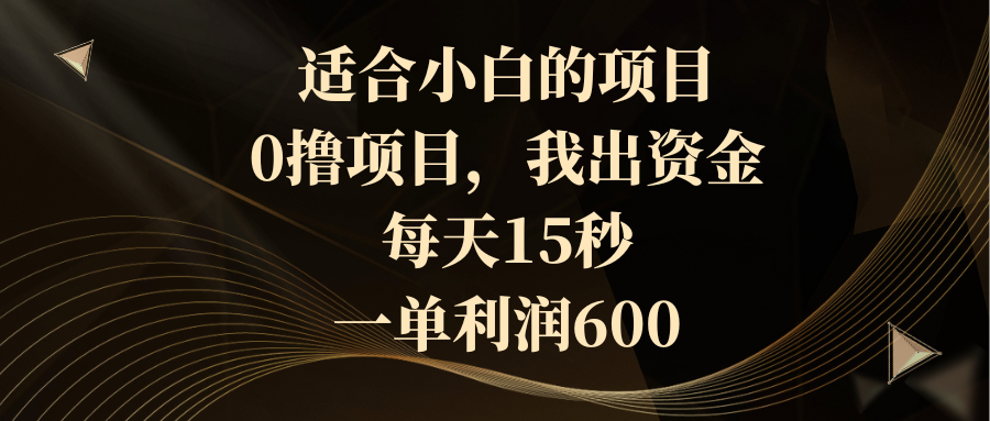 （8571期）适合小白的项目，0撸项目，我出资金，每天15秒，一单利润600-副业城