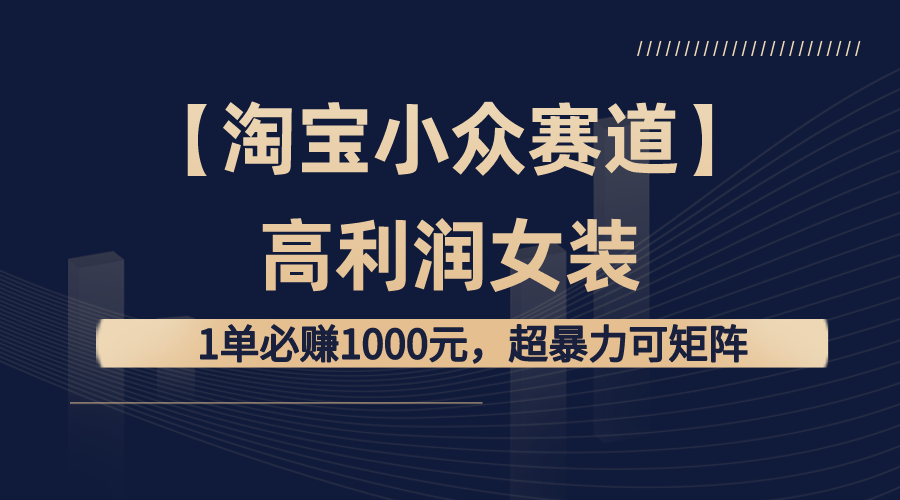 （8608期）【淘宝小众赛道】高利润女装：1单必赚1000元，超暴力可矩阵-副业城