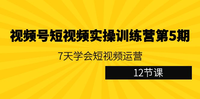 （9029期）视频号短视频实操训练营第5期：7天学会短视频运营（12节课）-副业城