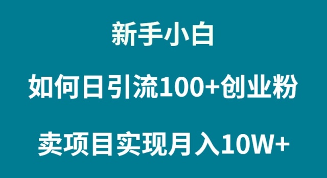 （9556期）新手小白如何通过卖项目实现月入10W+-副业城