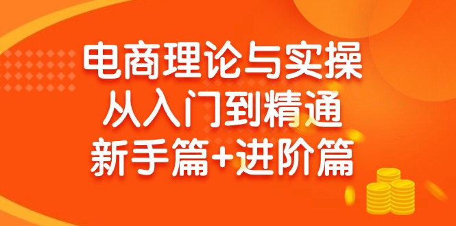 （9576期）电商理论与实操从入门到精通 新手篇+进阶篇-副业城