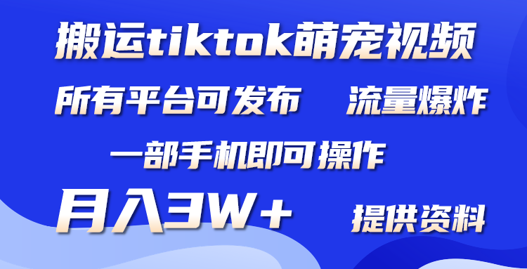 （9618期）搬运Tiktok萌宠类视频，一部手机即可。所有短视频平台均可操作，月入3W+-副业城
