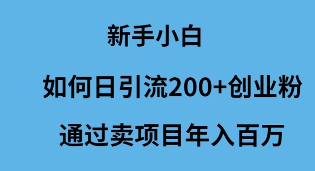 （9668期）新手小白如何日引流200+创业粉通过卖项目年入百万-副业城