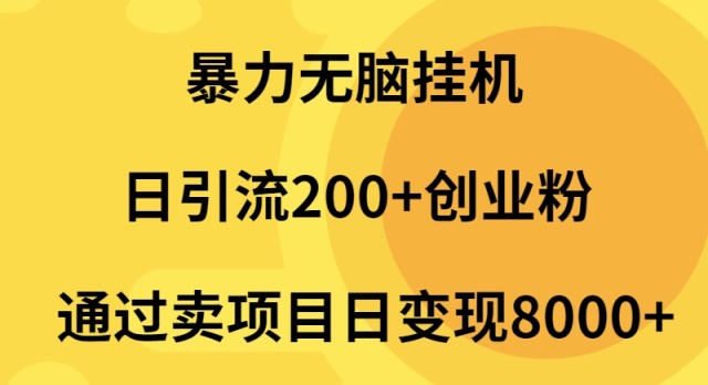 （9788期）暴力无脑挂机日引流200+创业粉通过卖项目日变现2000+-副业城