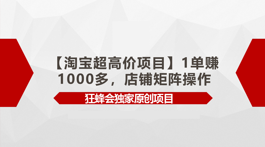 （9849期）【淘宝超高价项目】1单赚1000多，店铺矩阵操作-副业城