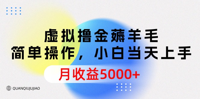 （9864期）虚拟撸金薅羊毛，简单操作，小白当天上手，月收益5000+-副业城