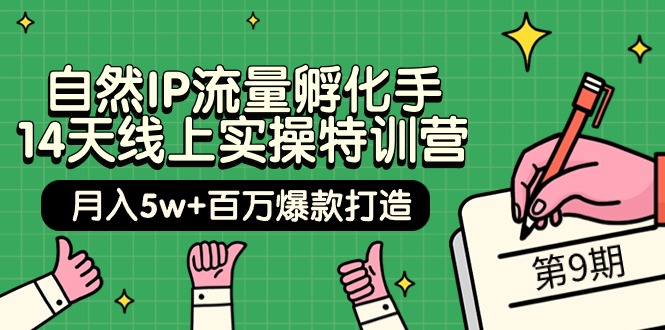 （9881期）自然IP流量孵化手 14天线上实操特训营【第9期】月入5w+百万爆款打造 (74节)-副业城