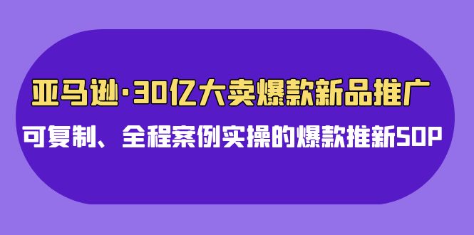 （9944期）亚马逊30亿·大卖爆款新品推广，可复制、全程案例实操的爆款推新SOP-副业城