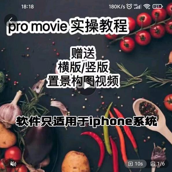 漆十二美食摄影，25​节promovie实操高手课节-副业城