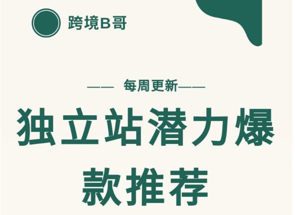 【跨境B哥】独立站潜力爆款选品推荐，测款出单率高达百分之80-副业城