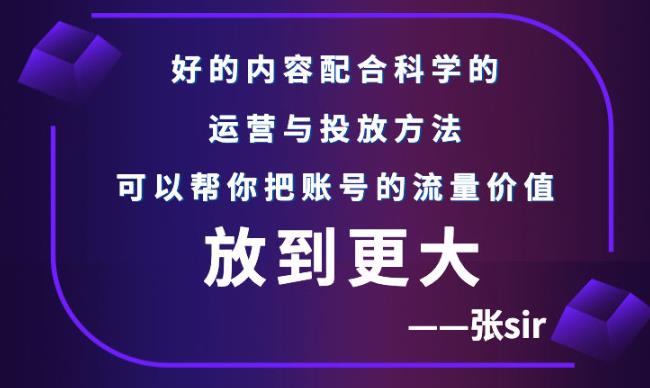 张sir账号流量增长课，告别海王流量，让你的流量更精准-副业城