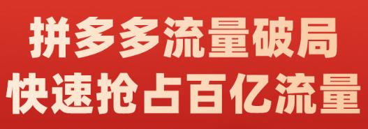 阿杰·拼多多流量破局:如何打黑标，爆款的思路，拼多多流量框架，快速抢占百亿流量-副业城