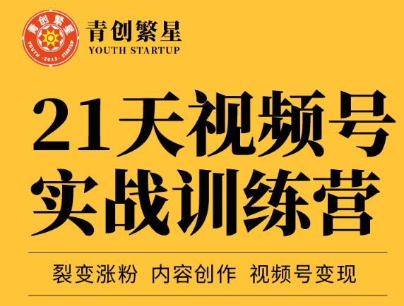 张萌21天视频号实战训练营，裂变涨粉、内容创作、视频号变现 价值298元-副业城