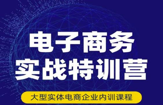 民赛电气内部出品：电子商务实战特训营，全方位带你入门电商，308种方式玩转电商-副业城