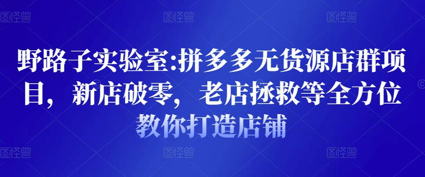 野路子实验室:拼多多无货源店群项目，新店破零，老店拯救等全方位教你打造店铺-副业城