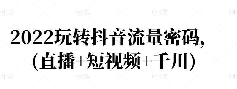 2022玩转抖音流量密码，(直播+短视频+千川)-副业城