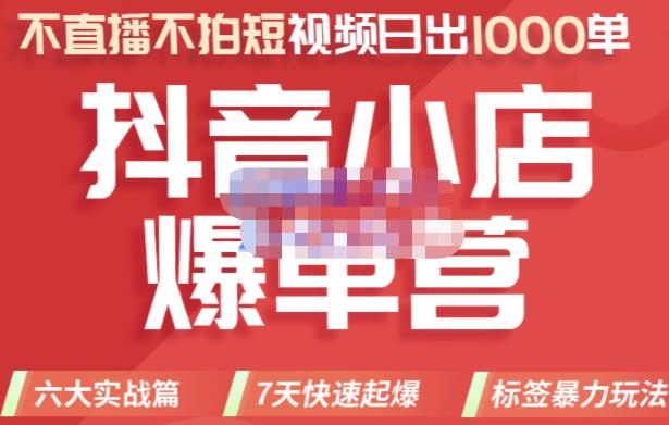 推易电商·2022年抖音小店爆单营，不直播、不拍短视频、日出1000单，暴力玩法-副业城