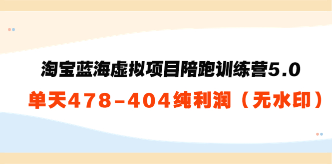 淘宝蓝海虚拟项目陪跑训练营5.0：单天478纯利润-副业城