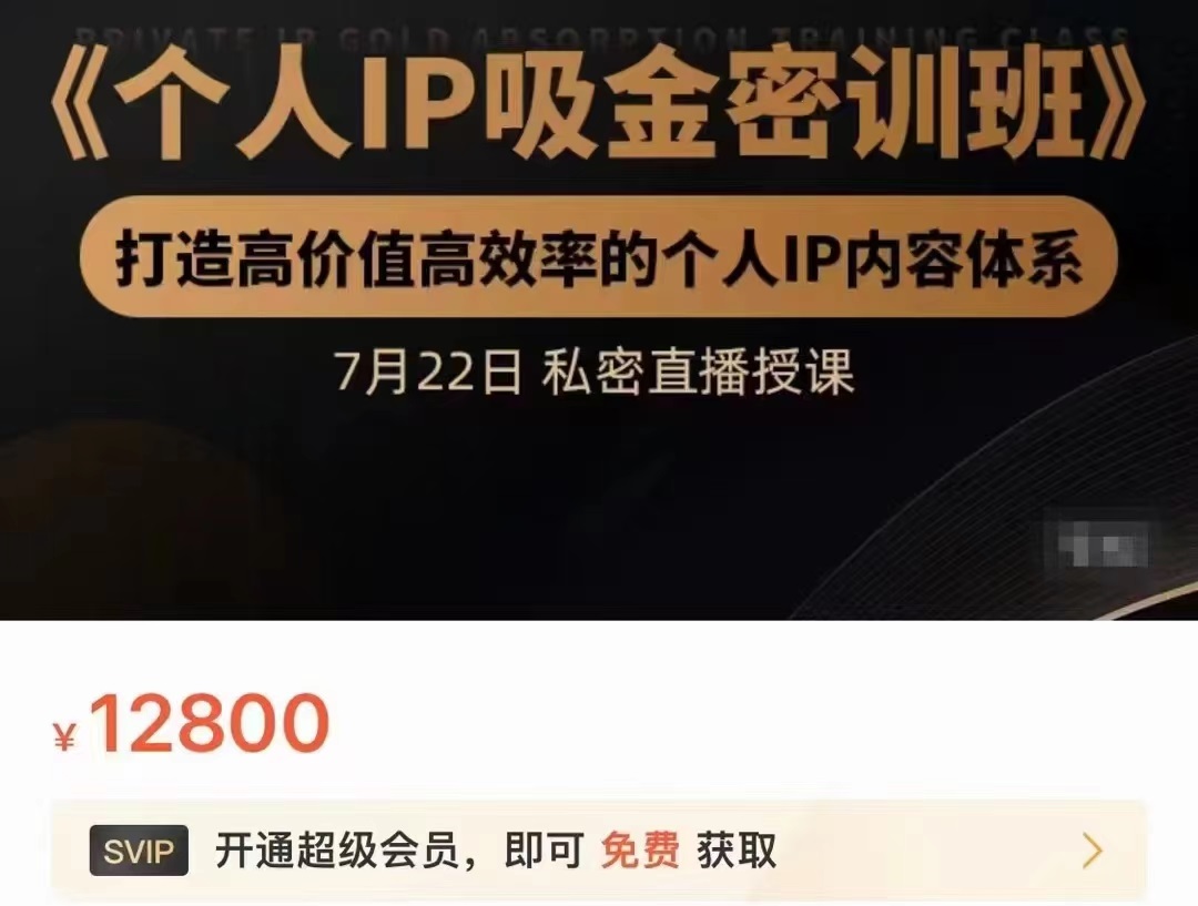 个人IP吸金密训班，打造高价值高效率的个人IP内容体系（价值12800元）-副业城