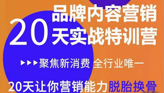 《内容营销实操特训营》20天让你营销能力脱胎换骨（价值3999）-副业城