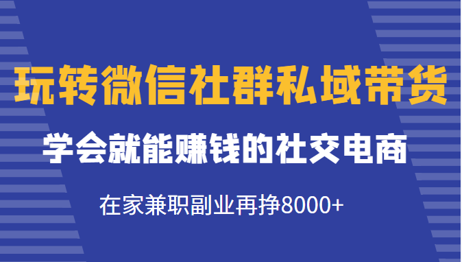 玩转微信社群私域带货，学会就能赚钱的社交电商，在家兼职副业再挣8000+-副业城