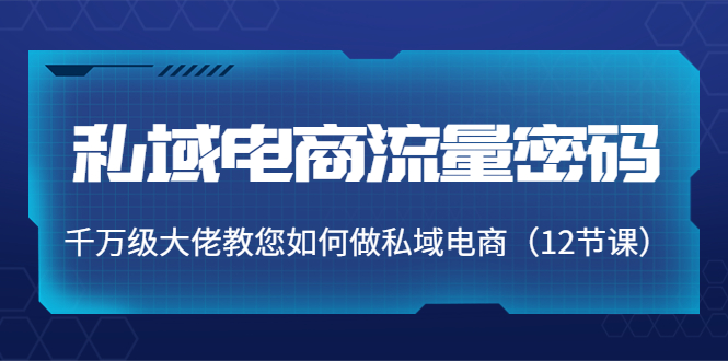 私域电商流量密码：千万级大佬教您如何做私域电商（12节课）-副业城