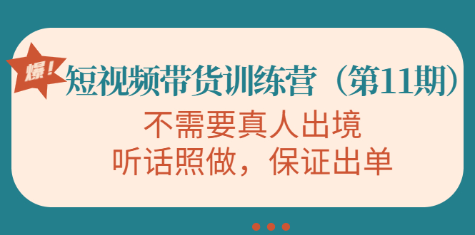 视频带货训练营，不需要真人出境，听话照做，保证出单（第11期）-副业城