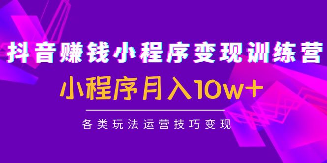抖音赚钱小程序变现训练营：小程序月入10w+各类玩法运营技巧变现-副业城