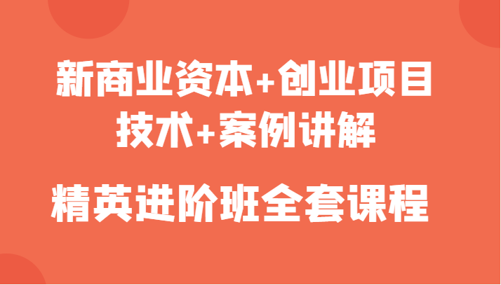 新商业资本+创业项目，技术+案例讲解，精英进阶班全套课程-副业城