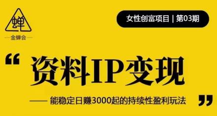 资料IP变现，能稳定日赚3000起的持续性盈利玩法-副业城