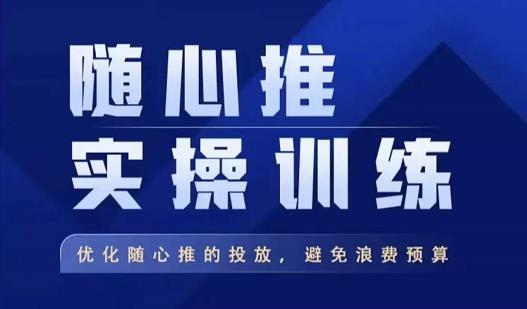 飞哥·随心推实操训练，优化随心推投放，避免浪费预算-副业城