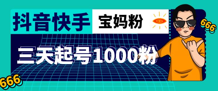 抖音快手三天起号涨粉1000宝妈粉丝的核心方法【详细玩法教程】-副业城