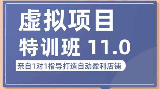 陆明明·虚拟项目特训班（10.0+11.0），0成本获取虚拟素材，0基础打造自动盈利店铺-副业城