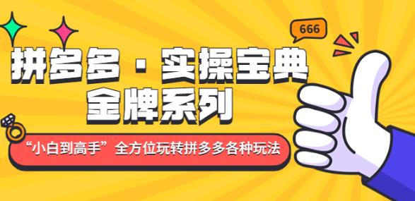 拼多多·实操宝典：金牌系列“小白到高手”带你全方位玩转拼多多各种玩法-副业城