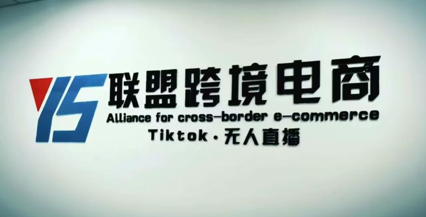 YS联盟·Tiktok无人直播，不出镜不剪辑不拍摄不发货无售后的跨境短视频躺赚玩法-副业城