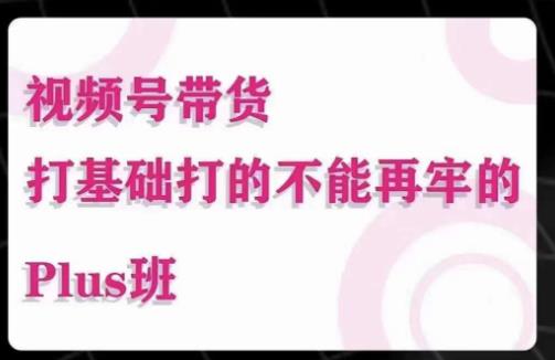 大播汇·视频号带货Puls班，视频号底层逻辑，起号自然流鱼塘等玩法-副业城