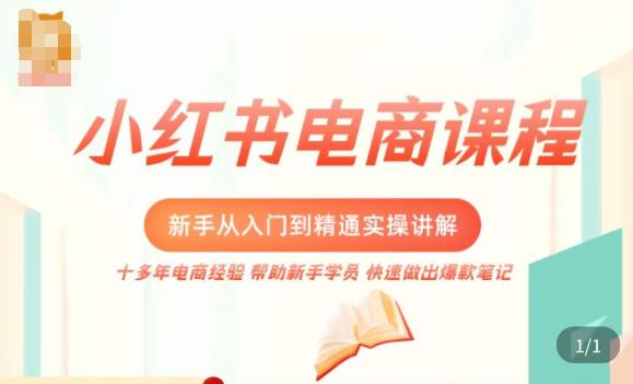 小红书电商新手入门到精通实操课，从入门到精通做爆款笔记，开店运营-副业城