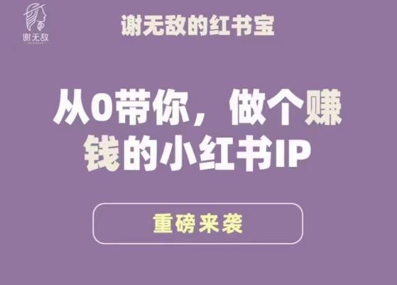 谢无敌·小红书运营大宝典，从0带你做个赚钱的小红书IP-副业城